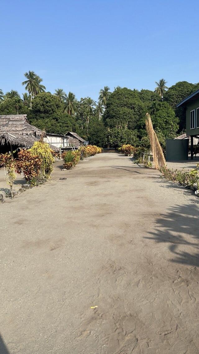 掃き清められた村の道
